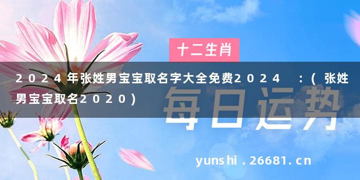 2024年张姓男宝宝取名字大全免费2024 :(张姓男宝宝取名2020)
